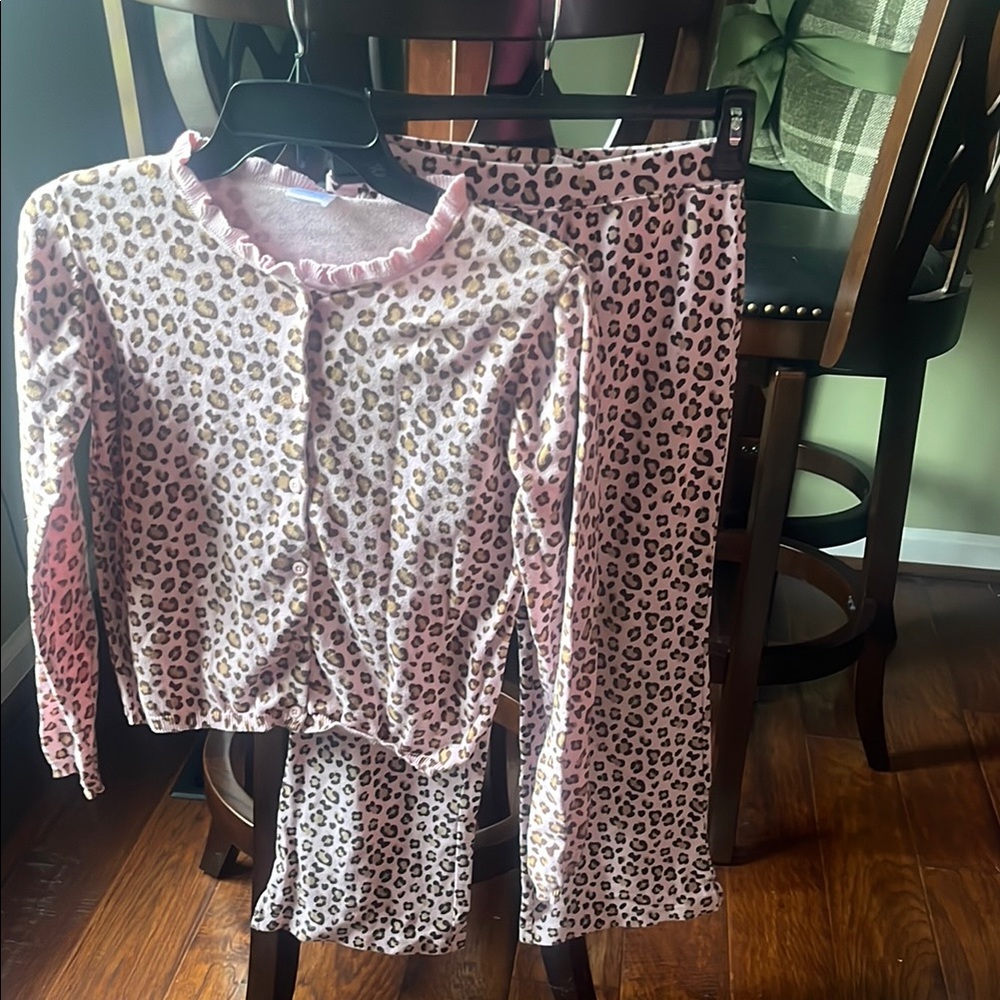 Girl’s Gymboree Matching Pink and Brown Leopard Print 2-Piece. - Picture 1 of 9